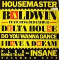 Terry Baldwin Featuring Bud Latour / Suburban Boyz Featuring Terry Baldwin : Delta House / Insane (12")