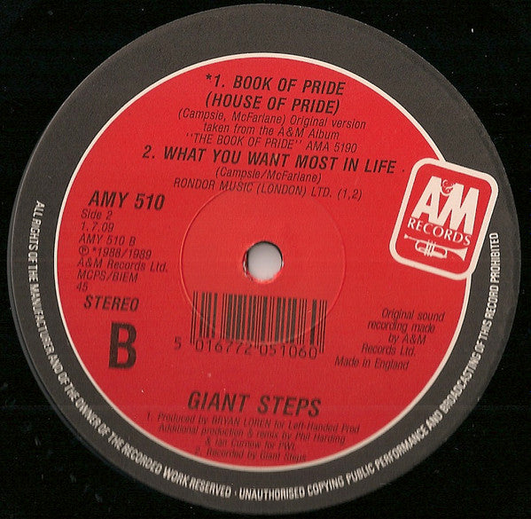 Giant Steps (2) : The Book Of Pride (12", Single)