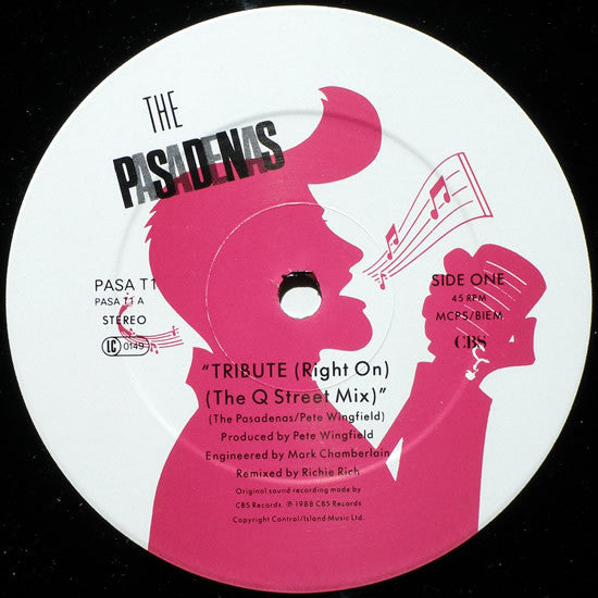 The Pasadenas : Tribute (12", Single)