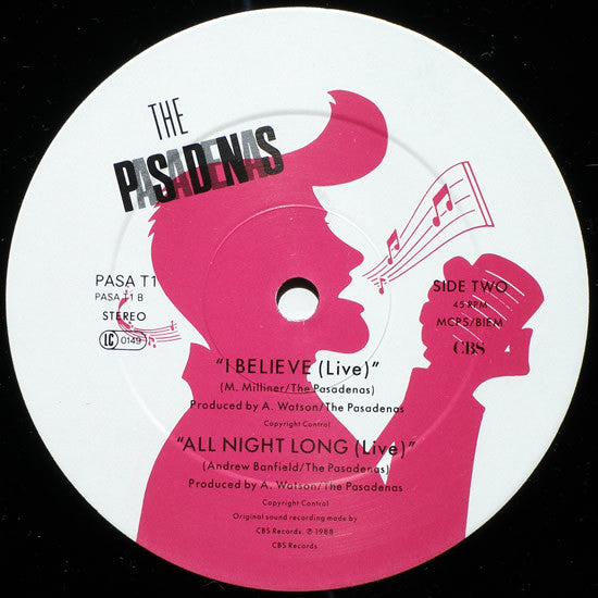 The Pasadenas : Tribute (12", Single)