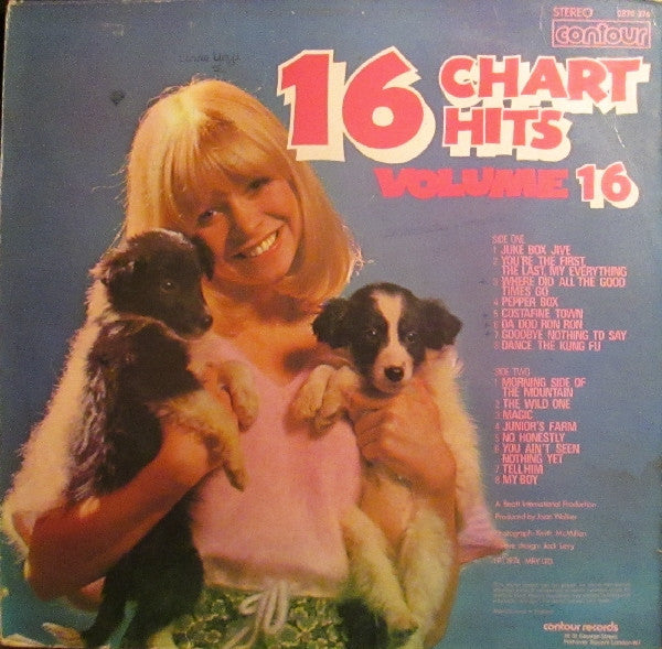 Unknown Artist : 16 Chart Hits Volume 16 (LP)