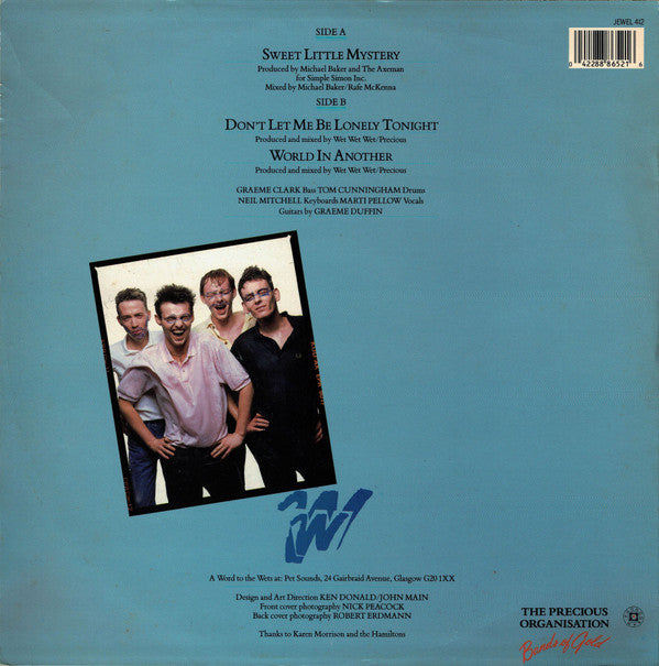 Wet Wet Wet : Sweet Little Mystery (12", Single)
