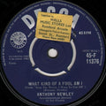 Anthony Newley : What Kind Of Fool Am I / Once In A Lifetime (7")