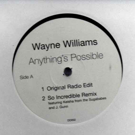 Wayne Williams (2) : Anything's Possible (12", Promo)