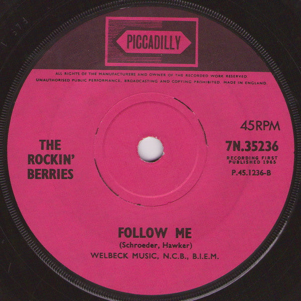 The Rockin' Berries : Poor Man's Son (7")