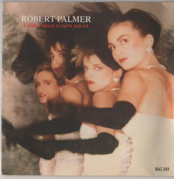 Robert Palmer : I Didn't Mean To Turn You On (7", Single, Gat)