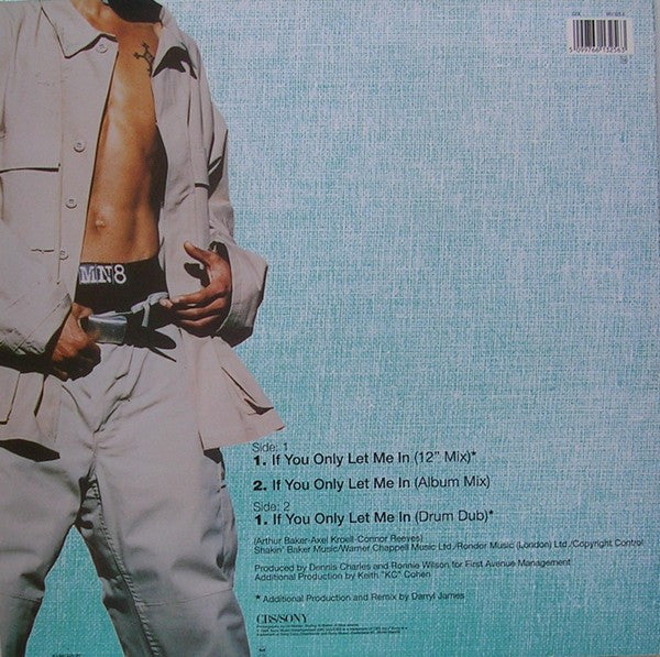MN8 : If You Only Let Me In (12")
