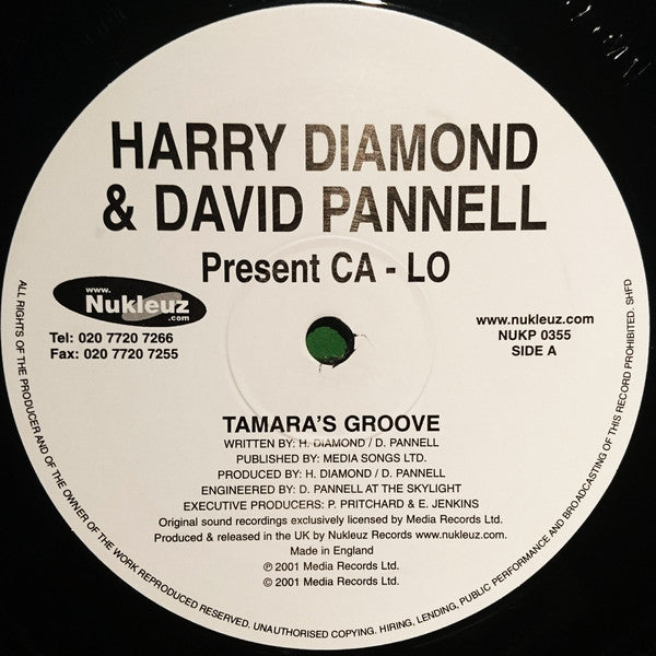 Harry Diamond & David Pannell Present Ca-Lo : Tamara's Groove / Word Science (12")