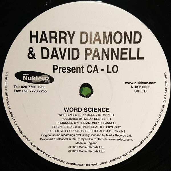 Harry Diamond & David Pannell Present Ca-Lo : Tamara's Groove / Word Science (12")
