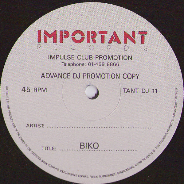 Patti Boulaye With Guest Musicians The DEP Band : Biko (12", Promo)