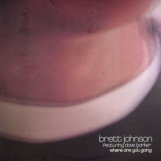 Brett Johnson : Where Are You Going? (12")