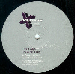 The 3 Jays : Feeling It Too (12", Promo)
