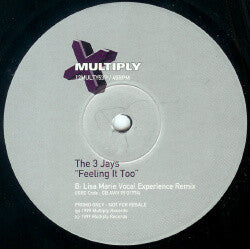 The 3 Jays : Feeling It Too (12", Promo)