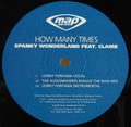 Spanky Wonderland : How Many Times (12")