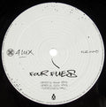 Untitled (5) : Four Flies (12")