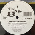 Paradise Orchestra : Colour Me (12")