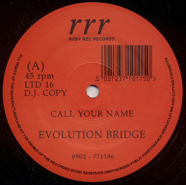Evolution Bridge : Call Your Name / Bossa Nova (12")