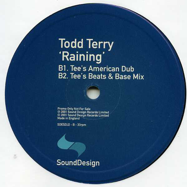Todd Terry : Raining / Enough Is Enough (2x12", Promo)