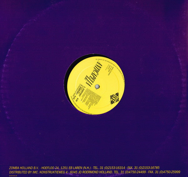 Anticappella : Everyday Remixes (12")