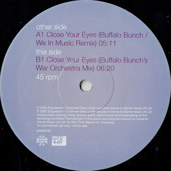 Bebel Gilberto : Close Your Eyes (12", Promo)