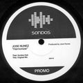 Jose Nuñez : Harmonizer (12", Promo)