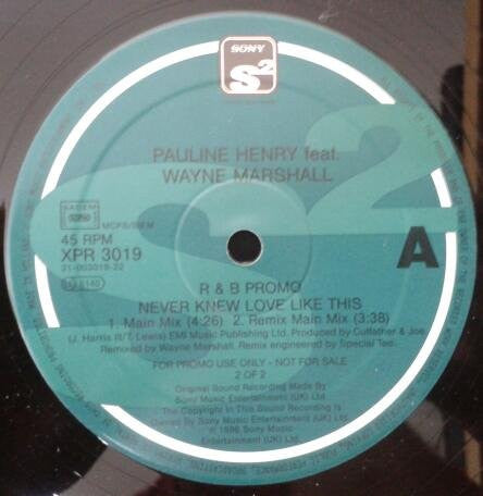 Pauline Henry : Never Knew Love Like This (12", Promo, 2/2)
