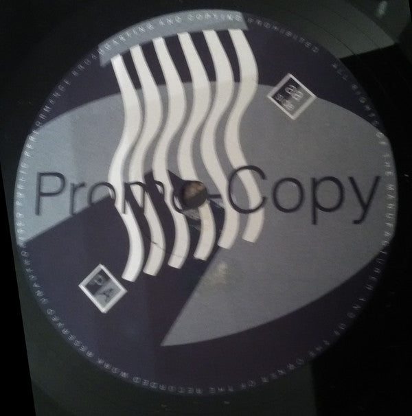 Paul Anton : Shake Your Body Remixes (12")