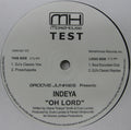 Groove Junkies Feat Indeya : Oh Lord (12", TP)