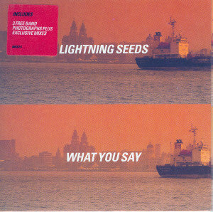 Lightning Seeds : What You Say (CD, Single)