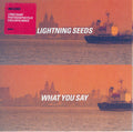 Lightning Seeds : What You Say (CD, Single)