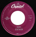 Blind Melon : Galaxie (7", Jukebox)