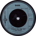 Dana (9) : Please Tell Him That I Said Hello (7")