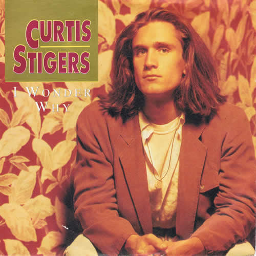 Curtis Stigers : I Wonder Why (7", Single)