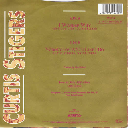 Curtis Stigers : I Wonder Why (7", Single)