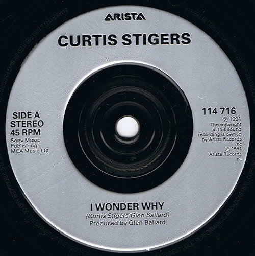 Curtis Stigers : I Wonder Why (7", Single)