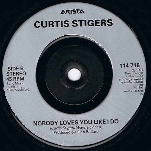 Curtis Stigers : I Wonder Why (7", Single)