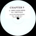 Chapter 9 : Open Your Mind / The Wall (12", Promo, W/Lbl, Sti)