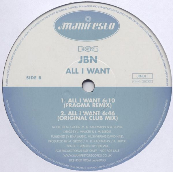 JBN : All I Want (12", Promo)