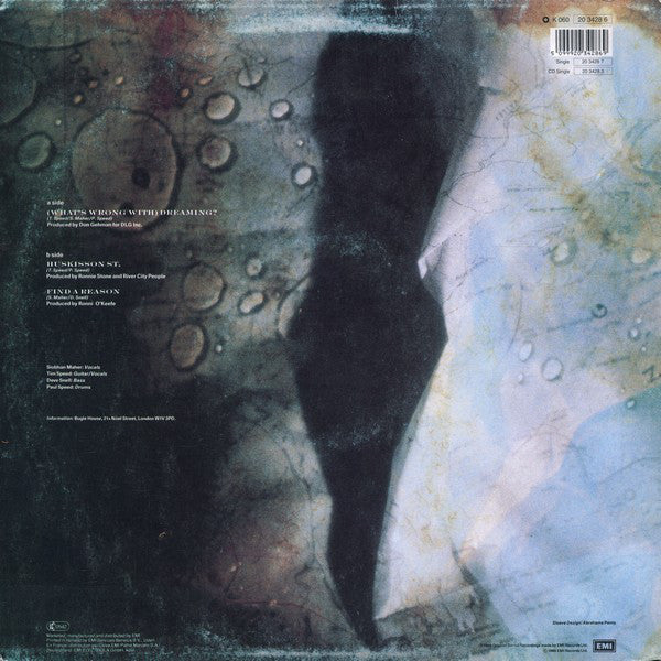 River City People : (What's Wrong With) Dreaming? (12", Single)