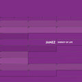 Jamez : Energy Of Life (12")