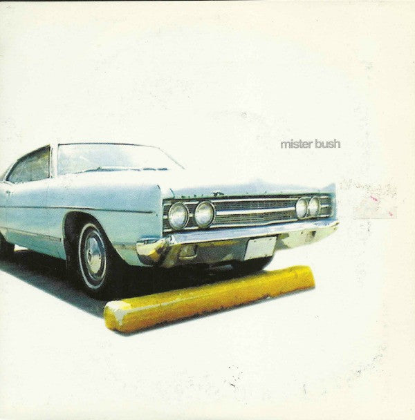 Flavorjenkins : Mister Bush (7")