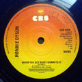 Ronnie Dyson : When You Get Right Down To It / The More You Do It (The More I Like It Done To Me) (7", Mono, RE, Blu)