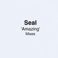 Seal : Amazing (Mixes) (CDr, Single, Promo)