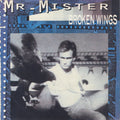 Mr. Mister : Broken Wings (7", Single)