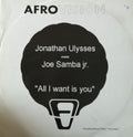 Jonathan Ulysses Meets Joe Samba Jr. : All I Want Is You (12")