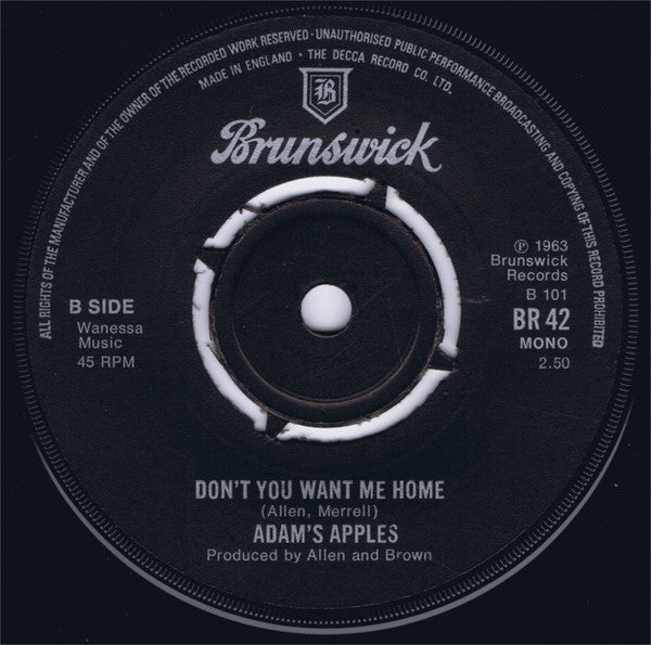 Adam's Apples : Don't Take It Out On This World  (7", Mono)