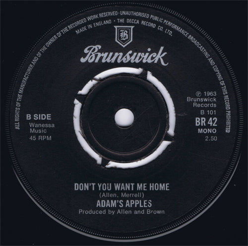 Adam's Apples : Don't Take It Out On This World  (7", Mono)