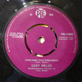 Gary Miller (2) : There Goes That Song Again (7")