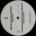 Various : What's The Worst That Could Happen? Album Sampler (12", Promo)