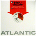 Bump J : Pushaman (12", Single, Promo)